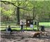 Green Tree Borough Dog Park