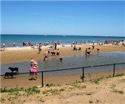 Photo of The Montrose Dog Beach - Chicago, IL