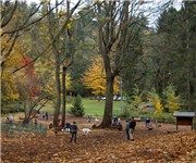 Golden Gardens Park Off Leash Dog Park In Seattle Wa 206 684