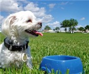 Photo of Golden Isles Park Dog Park - Hallandale, FL